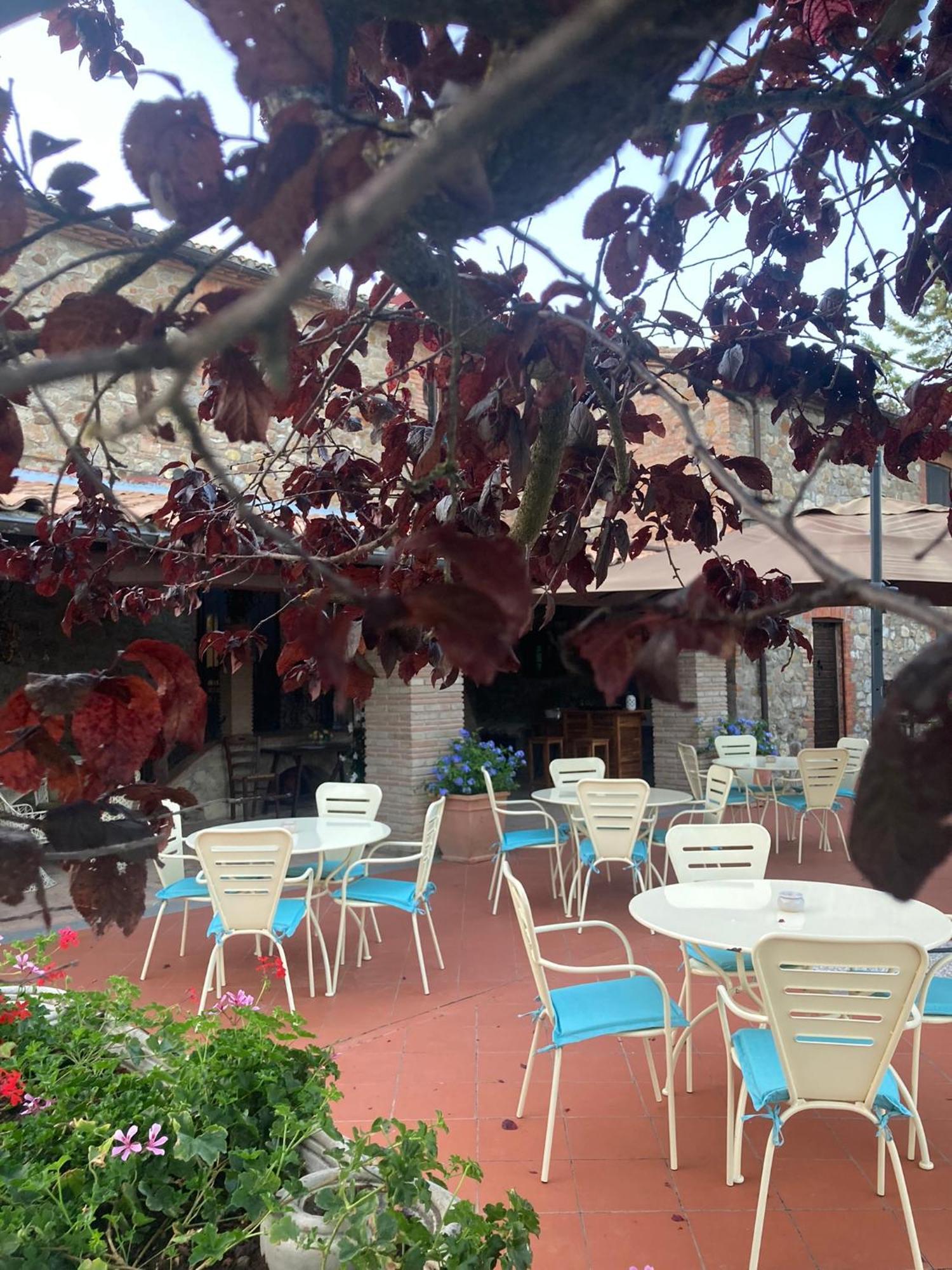 Agroturismo La Collina Di Bargiano - Casa Raffaella